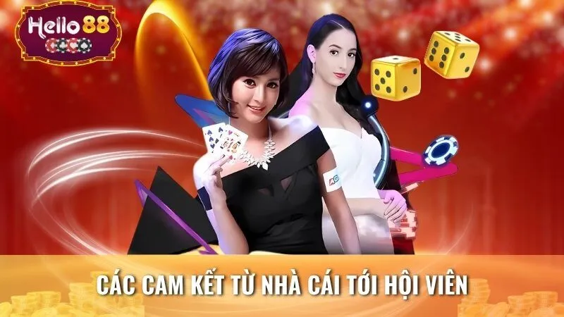 Các cam kết từ nhà cái tới hội viên