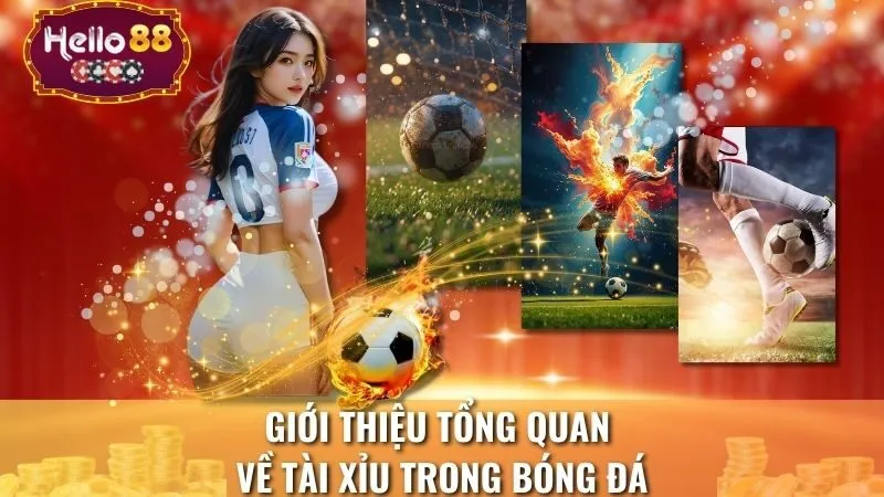 Giới thiệu tổng quan